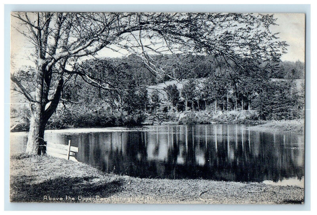 1905 Above the Upper Dam Trees Springfield Vermont VT Vintage Unposted Postcard