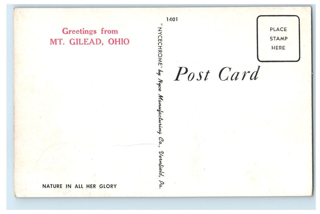 c1960's Greetings From Mt. Gilead Ohio OH, Nature View Unposted Vintage Postcard