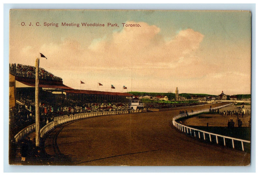 1908 OJC Spring Meeting Woodbine Park Toronto Ontario Canada Postcard