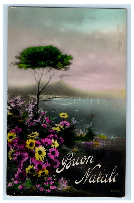 c1905 Merry Christmas Flowers Italian Tinted RPPC Photo Posted Antique Postcard