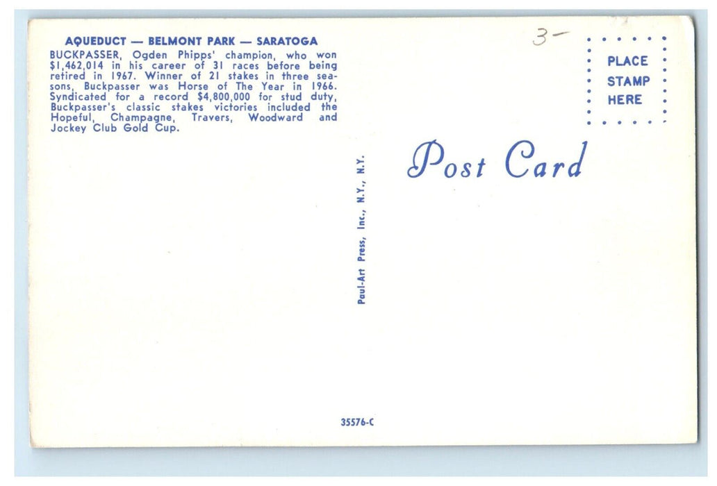 c1960's Aqueduct Belmont Park Buckpasser Horse Racing Saratoga NY Postcard