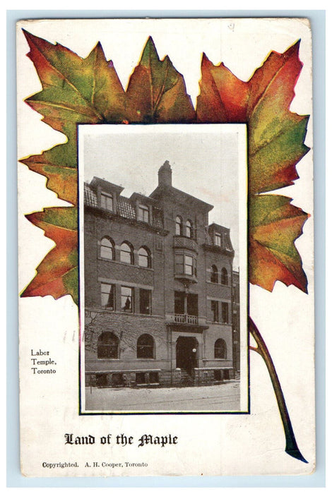 1909 Labor Temple, Land of the Maple Toronto Canada AH Cooper Postcard