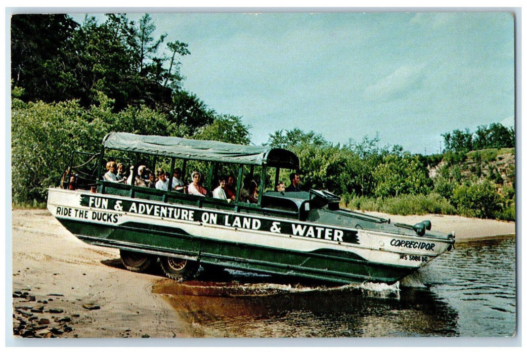 c1950's Duck Entering Wisconsin River, Ride The Ducks, Wisconsin Dells Postcard