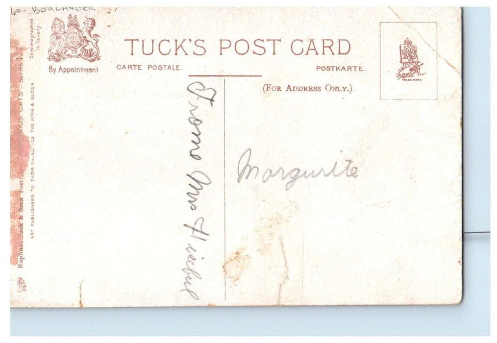 c1910's Boulanger Two Cats Tail Holding Flower Tuck's Posted Antique Postcard