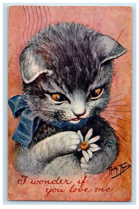 1908 Arthur Thiele Cute Cat White Flower I Wonder If You Love Me Posted Postcard