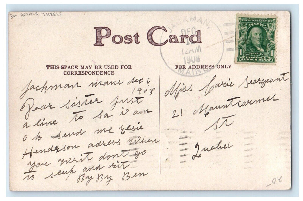 1908 Arthur Thiele Cute Cat White Flower I Wonder If You Love Me Posted Postcard
