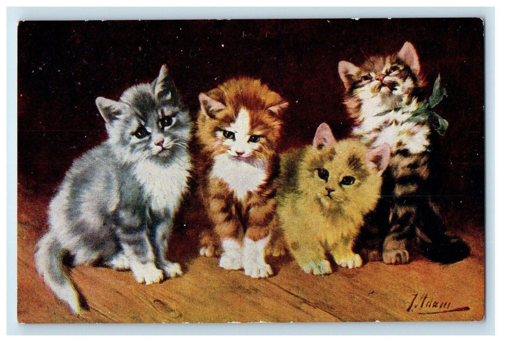 1909 Four Cute Cats Studio Portrait Unposted Antique Postcard
