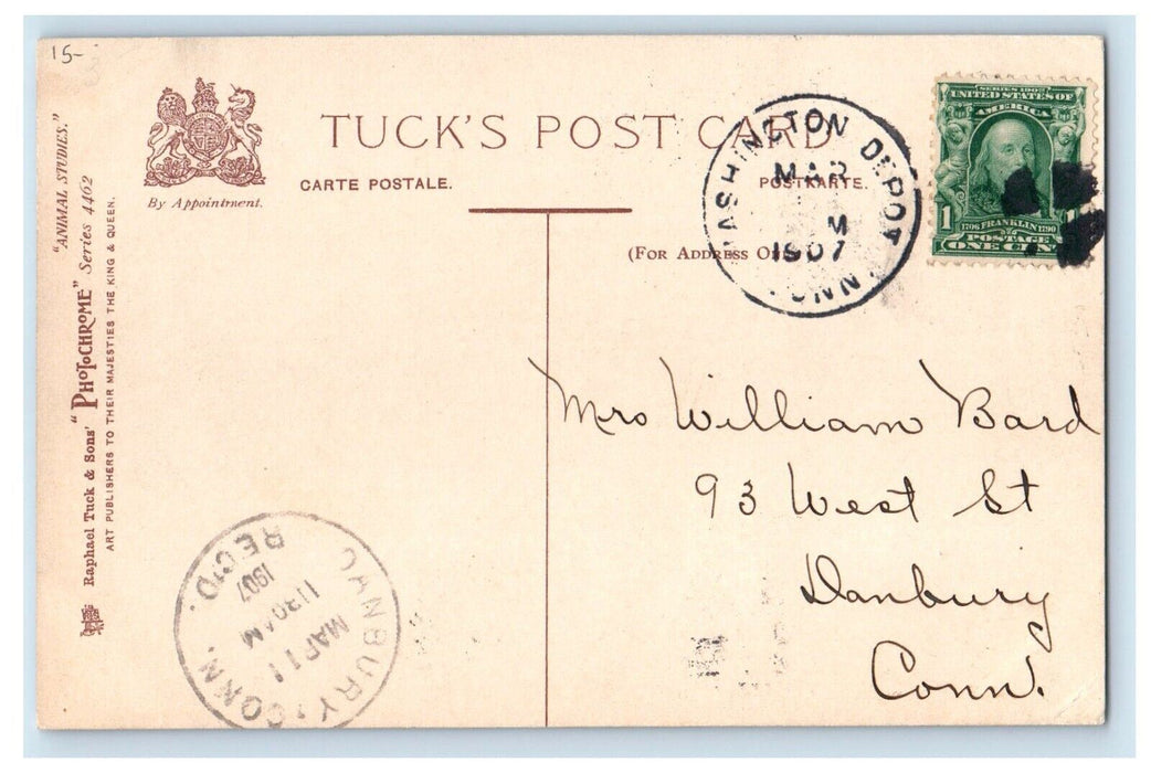 1907 Four Cute Cats At The Window Can You See Them Coming Posted Tuck's Postcard