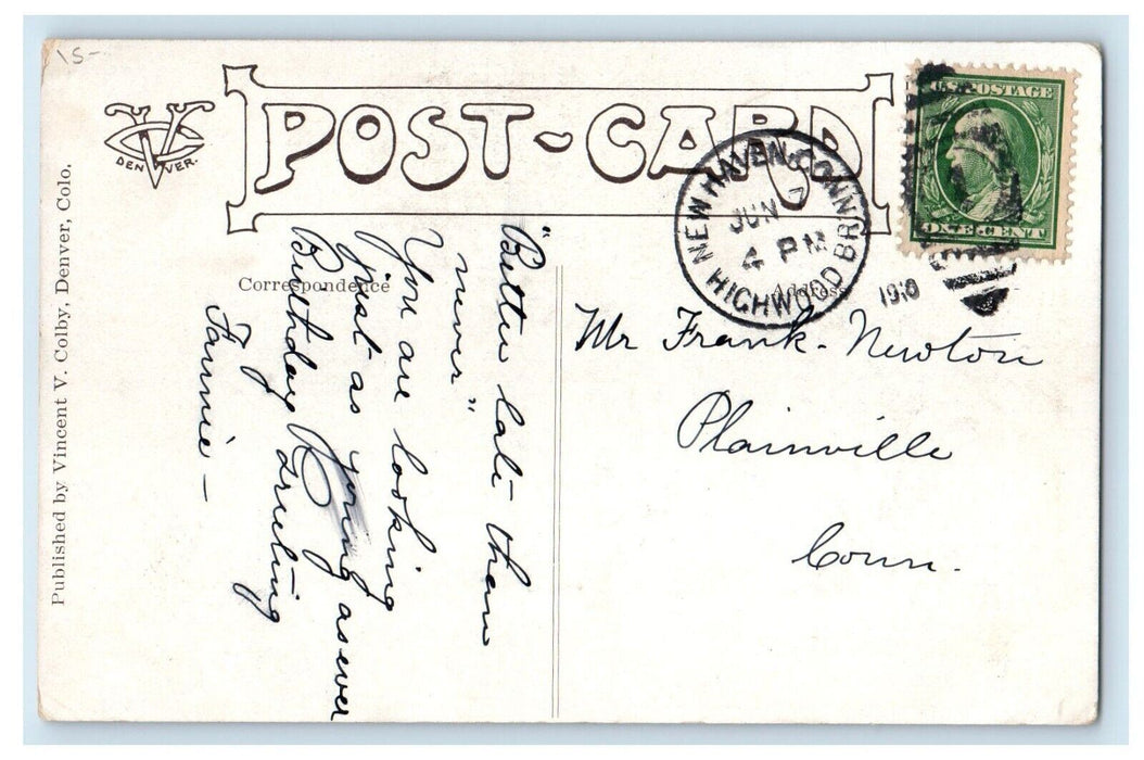 1910 Cute Cat And Puppy Dog Playing Hide And Seek At The Grass Antique Postcard