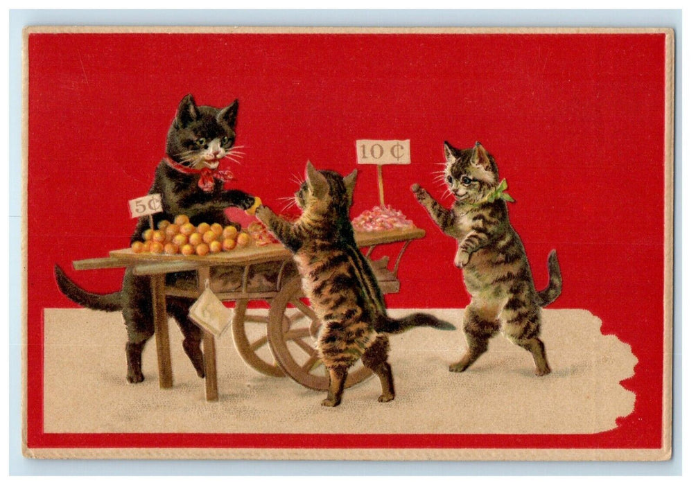1907 Anthropomorphic Cat Market Vendor Selling Fruits Embossed Antique Postcard