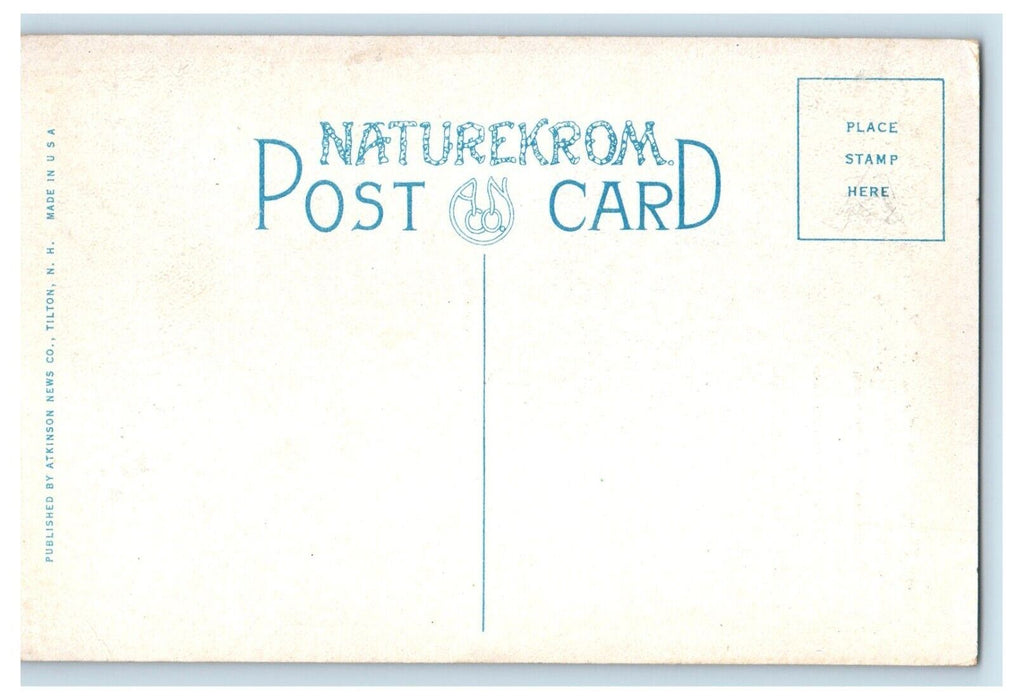 c1910 Auto Road Map of New Hampshire Vintage Unposted Naturekrom Postcard