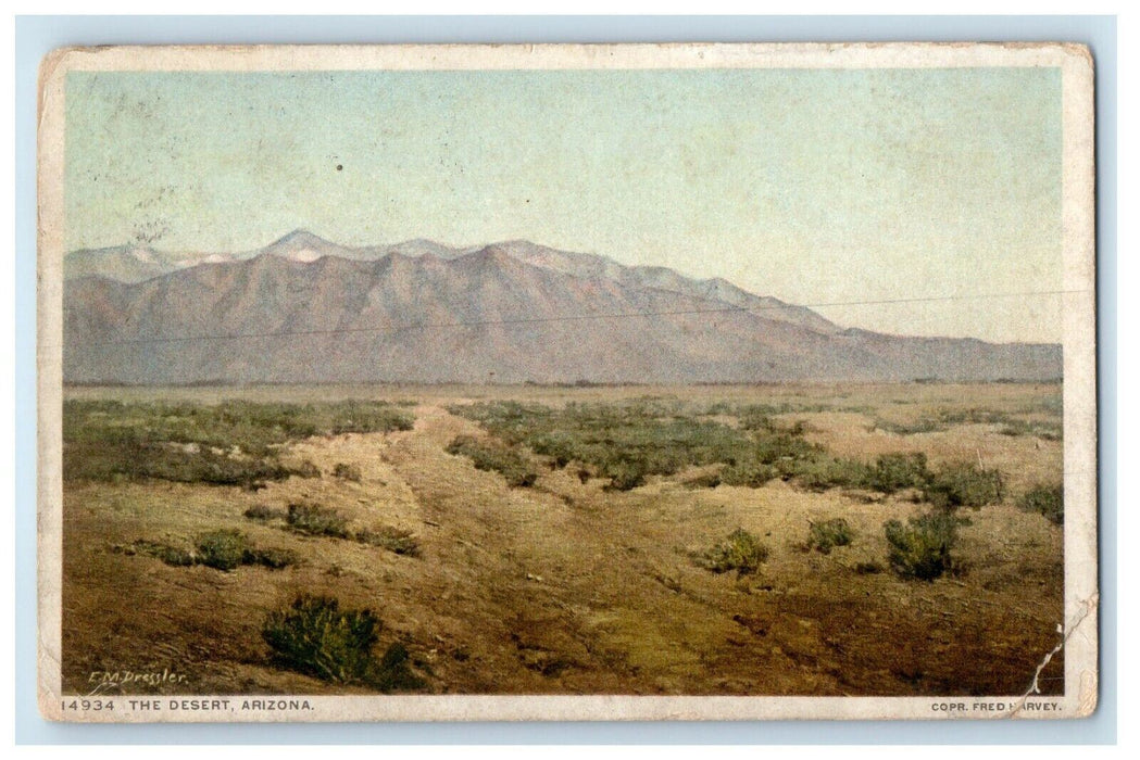 1915 The Desert Fred Harvey Mountain Arizona AZ Vintage Posted Postcard