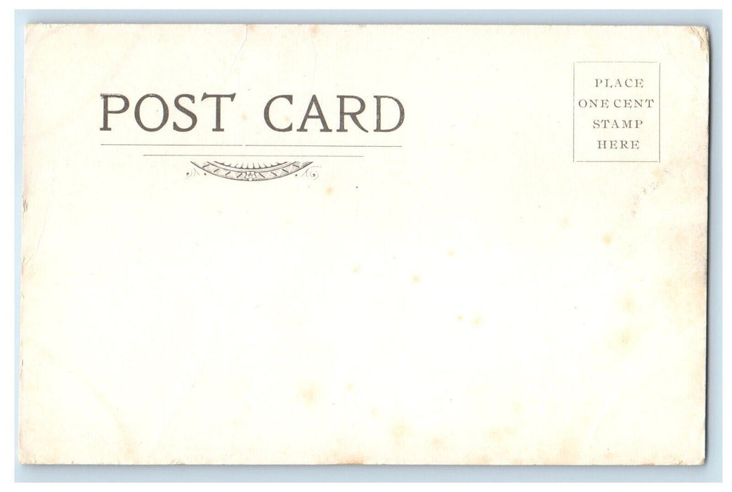c1905 New Hampshire Curiosity Shaker Bridge Enfield New Hampshire NH Postcard