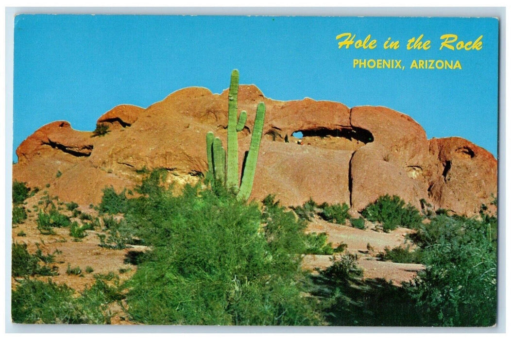 Hole In The Rock Cactus Seen From Highway Phoenix Arizona AZ Vintage Postcard