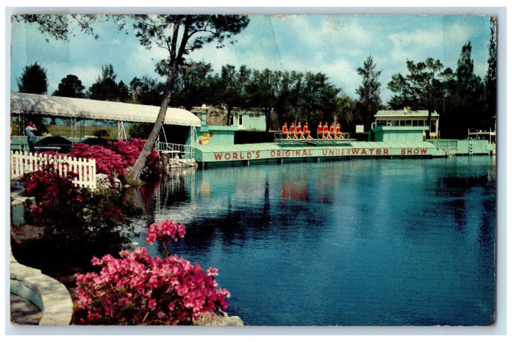 1961 World's Original Underwater Show Weeki Wachee Spring Florida FL Postcard