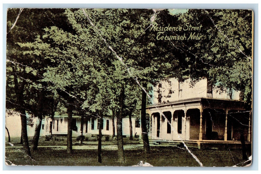 c1910 Trees Residence Street Tecumseh Nebraska NE Posted Antique Postcard
