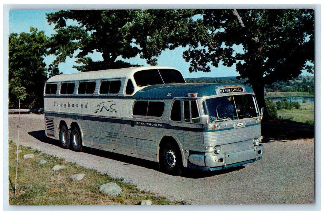 c1950's The Greyhound Scenicruiser Dual Level Bus United States Canada Postcard