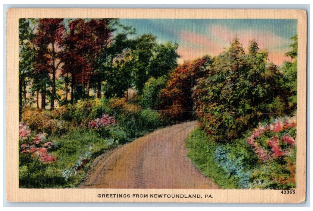 1947 Greetings From Newfoundland Pennsylvania PA, Road Flowers View Postcard