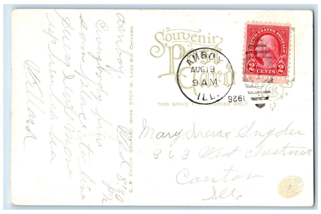 1926 East Main Street Scenic View Amboy Illinois IL Antique Souvenir Postcard