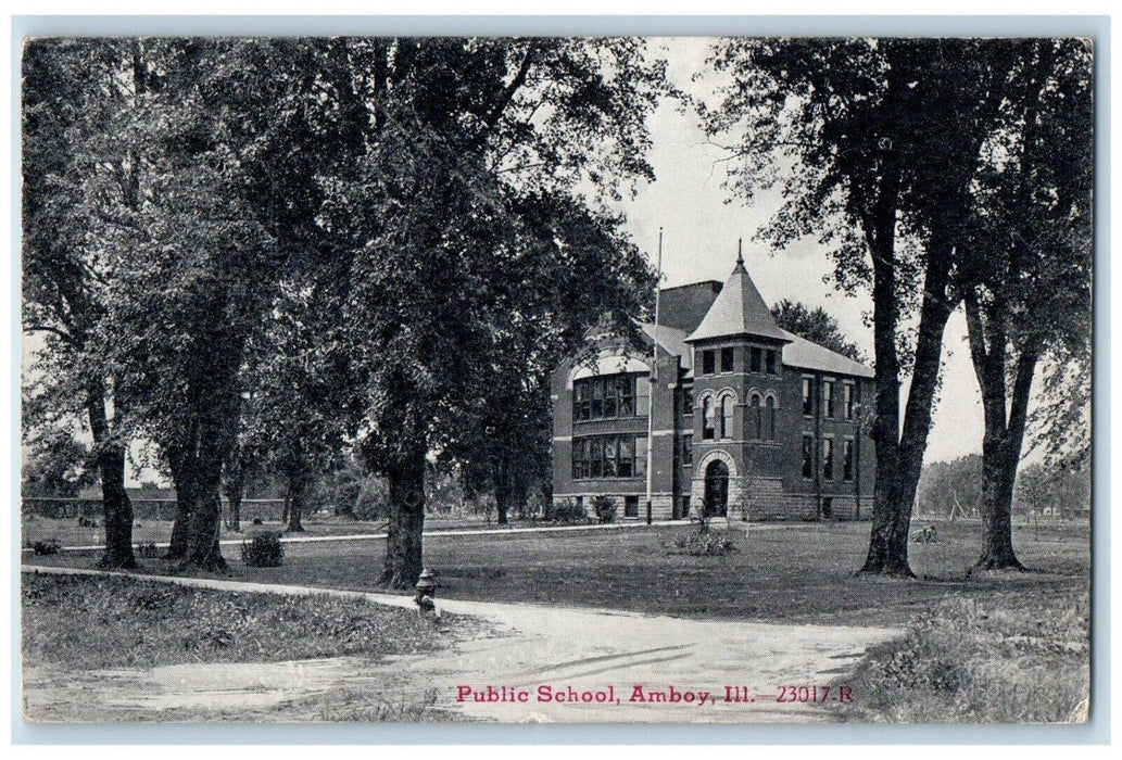 1914 Public School Building Trees Amboy Illinois IL Antique Vintage Postcard