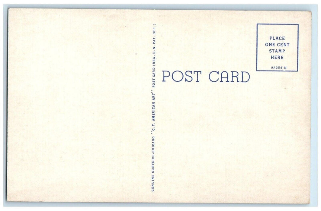 c1940 Lincoln The Soldier Statue Dixon Illinois IL Antique Vintage Postcard