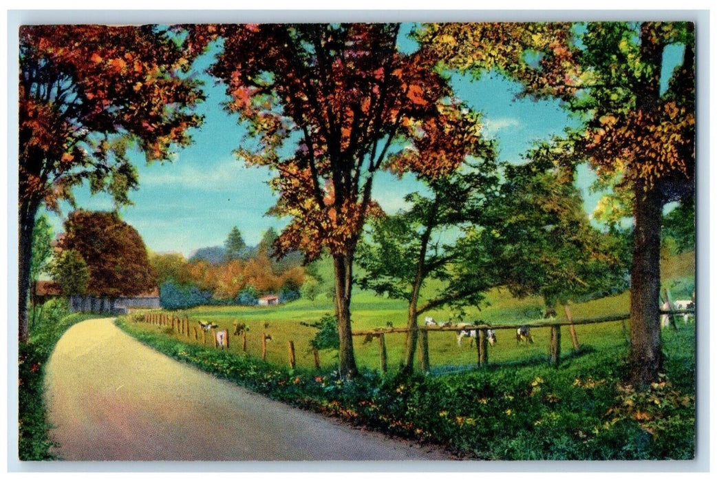 Greetings From Clifton Illinois IL, Road Cows Farm View Vintage Postcard
