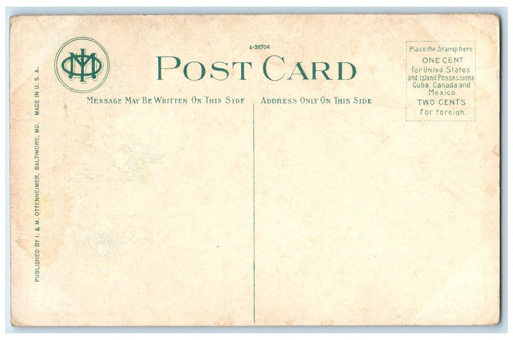 c1910's New Arch Entrance Flags Tolchester Beach Maryland MD Antique Postcard