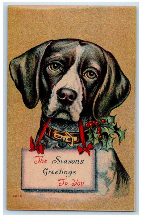 c1910's Christmas Greetings Holly Dog Sign Ribbon Unposted Antique Postcard