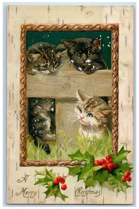 1910 Christmas Holly Berries Cat Kittens Winsch Back Embossed Antique Postcard