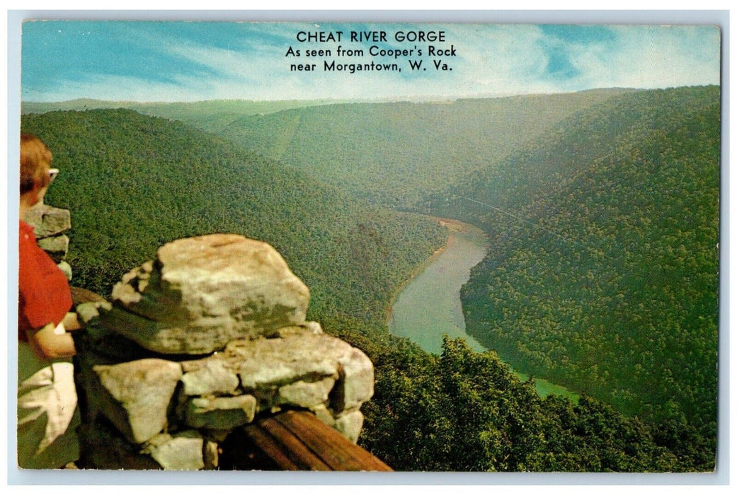 Safety Wall Cheat River George Cooper's Rock Morgantown West Virginia Postcard