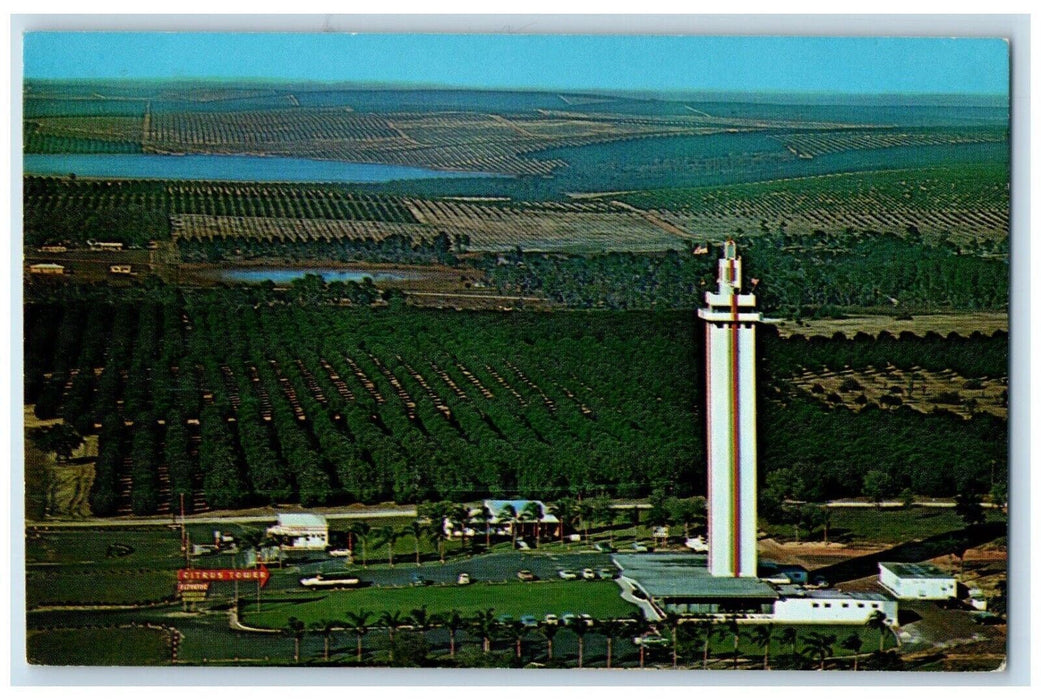 1961 Aerial View Citrus Tower US Highway Observation Clermont Florida Postcard
