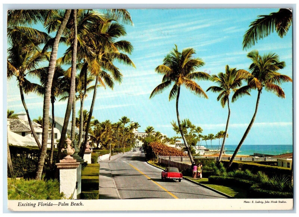 1980 View Of Exciting Florida Trees Ocean Boulevard Palm Beach FL Postcard