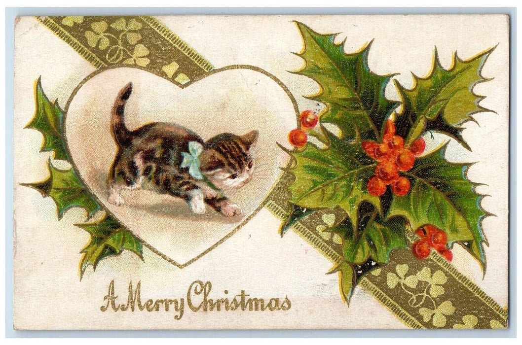 1909 Christmas Cute Cat Kitten Holly Berries Embossed Chambersburg PA Postcard