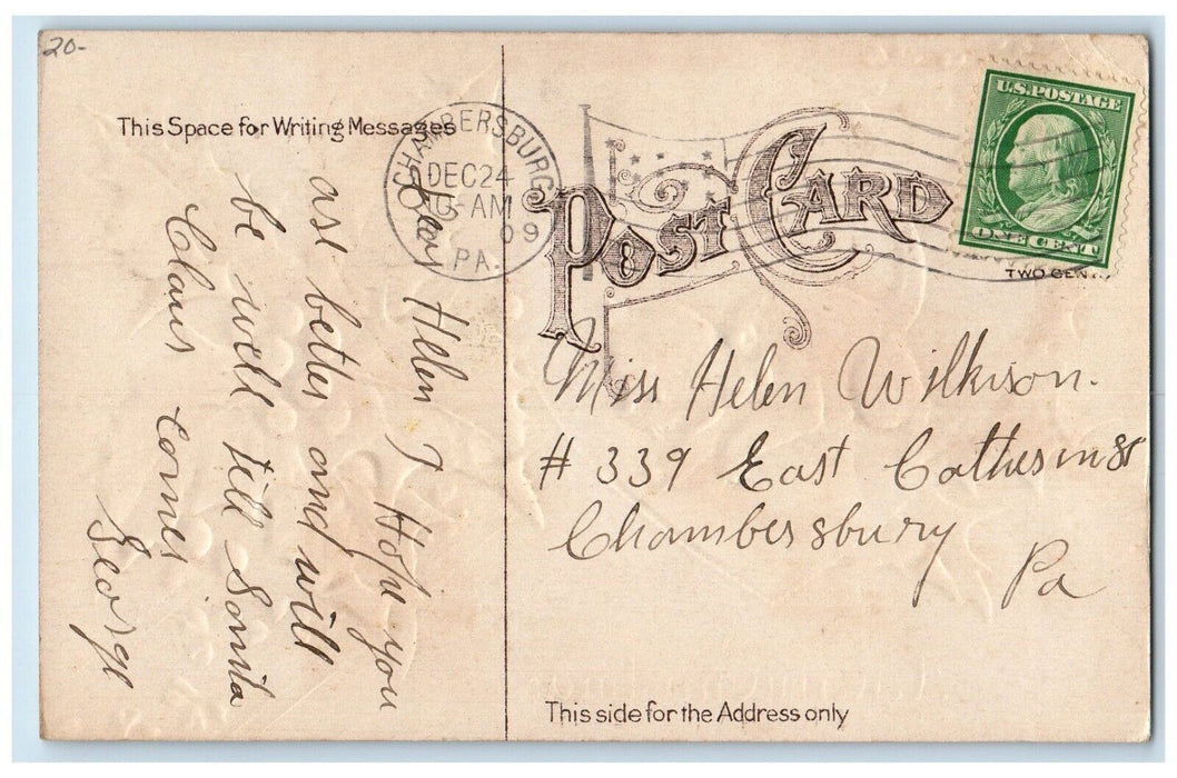 1909 Christmas Cute Cat Kitten Holly Berries Embossed Chambersburg PA Postcard