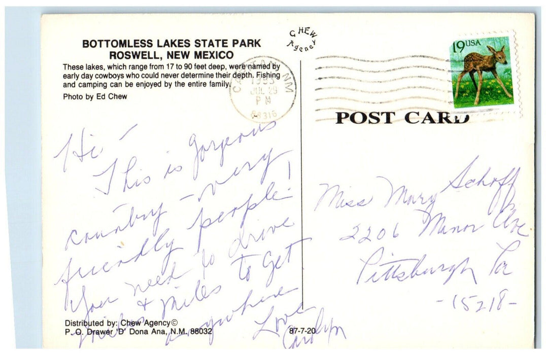 1983 View Of Bottomless Lakes State Park Roswell New Mexico NM Vintage Postcard