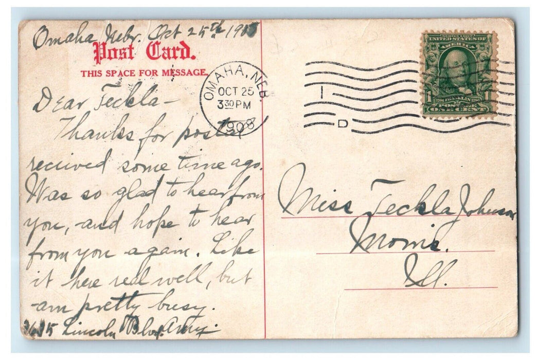 1908 Douglas County Hospital Omaha Nebraska NE Posted Antique Postcard
