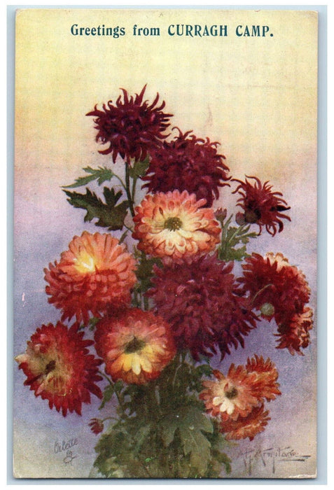 c1910 Chrysanthemums Greetings from Curragh Camp Oilette Tuck Art Postcard