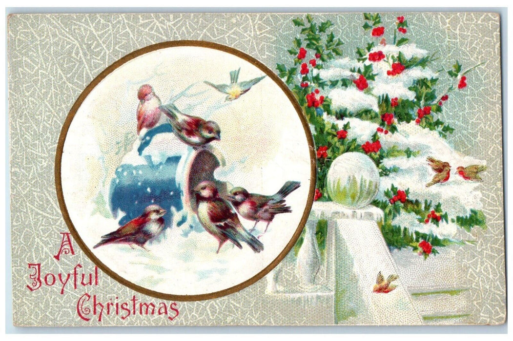c1910's Christmas Birds Winter Snow Holly Berries Winsch Back Embossed Postcard