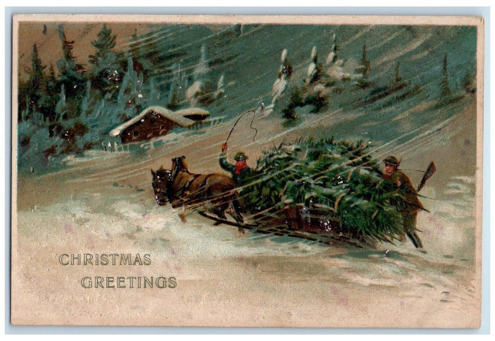 c1910's Christmas Greetings Horse Sledding Winter Snow Embossed Antique Postcard