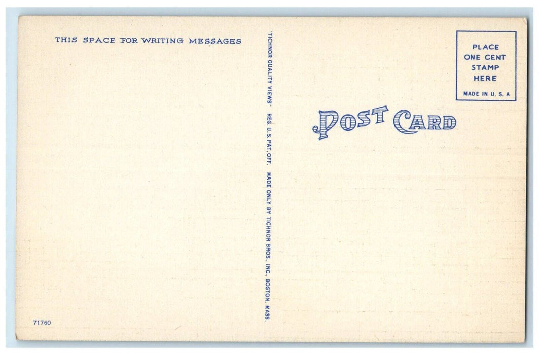 c1940 Mature Sugar Cane Ready Harvest Farm Clewiston Florida FL Antique Postcard