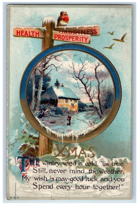 c1910's Christmas Sign Bird House Winter Snow Embossed Posted Antique Postcard