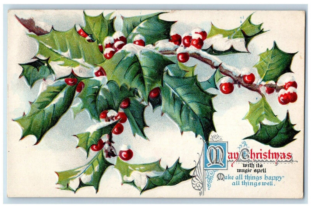 1910 Christmas Holly Berries Winter Snow Embossed Woodville Ohio OH Postcard