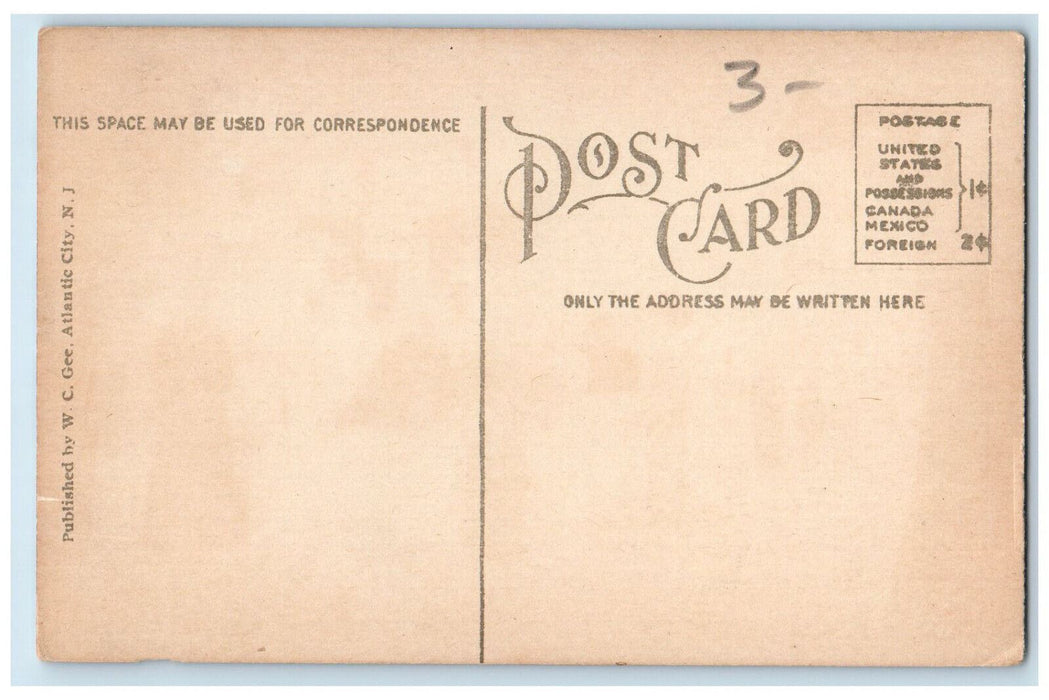 c1910 Crowd Scene Palace Postal Rolling Chair Atlantic New Jersey NJ Postcard