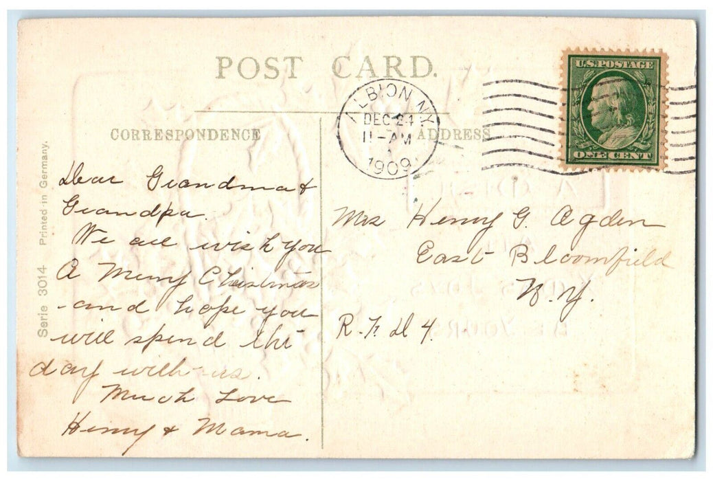 1909 Christmas Holly Berries In A Basket Embossed Albion New York NY Postcard