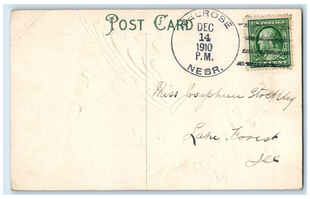 1910 Christmas Bird With Holly Berries Embossed Melrose Nebraska NE Postcard