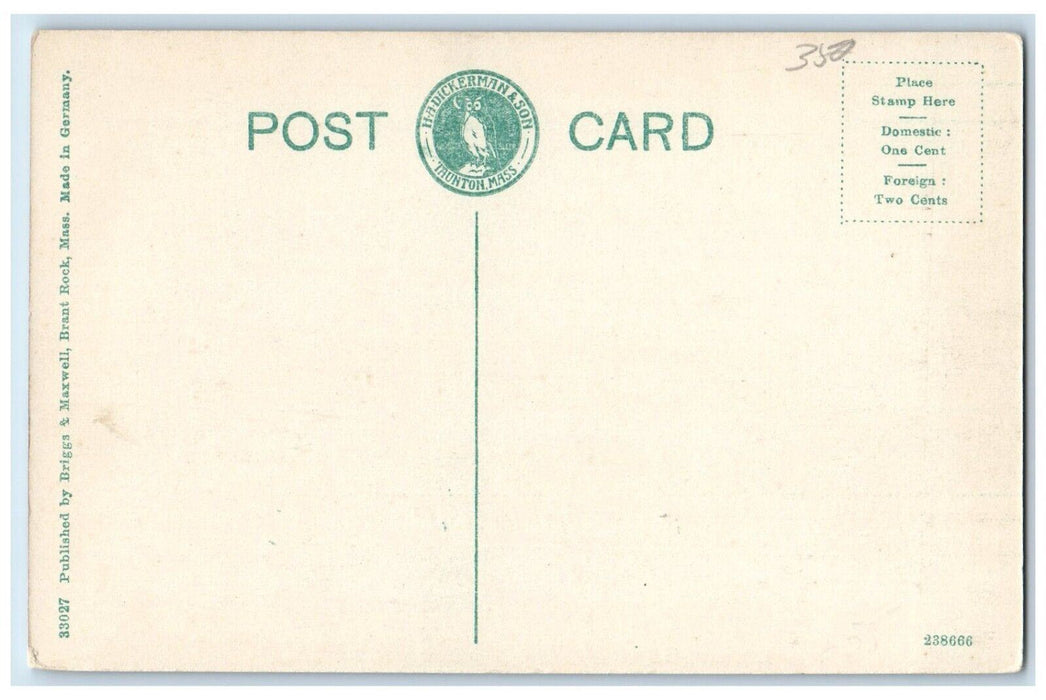 c1910 Peace Haven Hotel Brant Rock Massachusetts MA Vintage Hadickerman Postcard