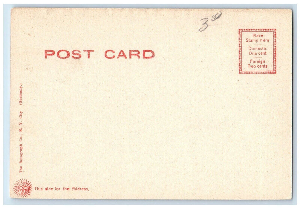 c1905 Peace Haven Flag Hotel Brant Rock Massachusetts Vintage Antique Postcard