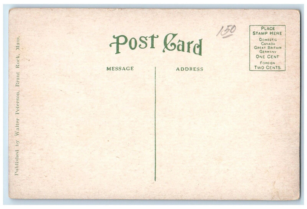 c1910 Peace Haven Hotel Street Brant Rock Massachusetts Vintage Antique Postcard