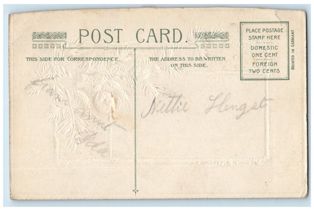 c1910's Christmas Pine Cone House Snow Winter Winsch Back Embossed Postcard