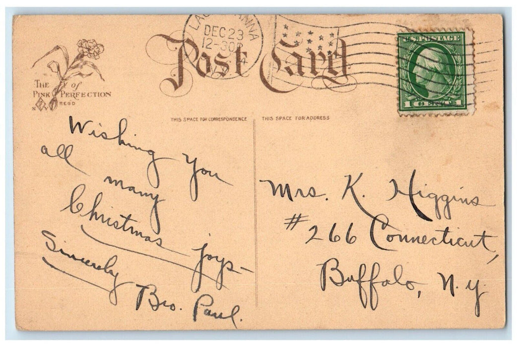 c1910's Christmas Madonna Poinsettia Flowers Religious Posted Antique Postcard